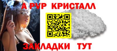прущие грибы Пыть-Ях