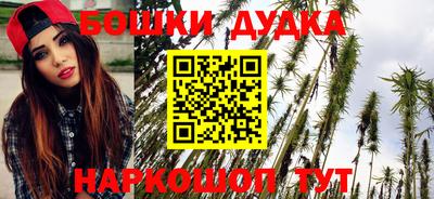 МДПВ Пушкино