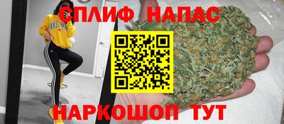 прущие грибы Пыть-Ях
