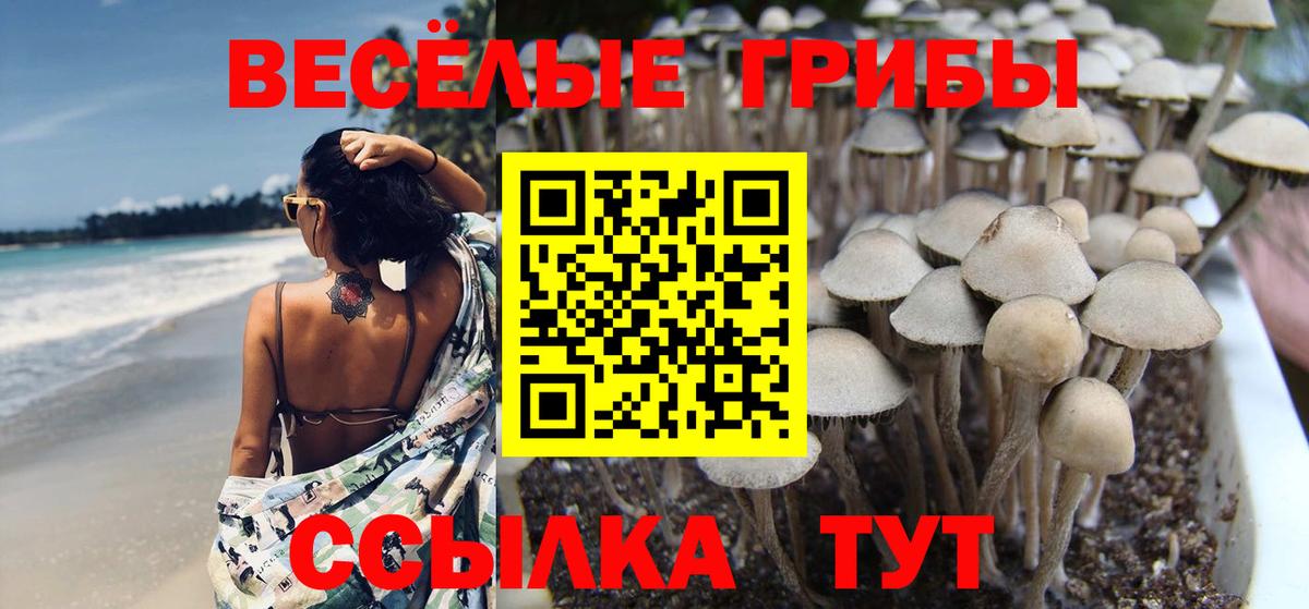 Галлюциногенные грибы ЛСД Сосновоборск